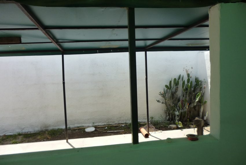 P1050911